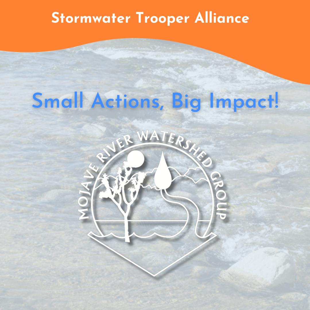 Small Actions, Big Impact: Protecting our High Desert Water Source